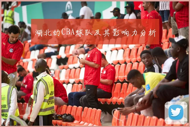 湖北的CBA球队及其影响力分析