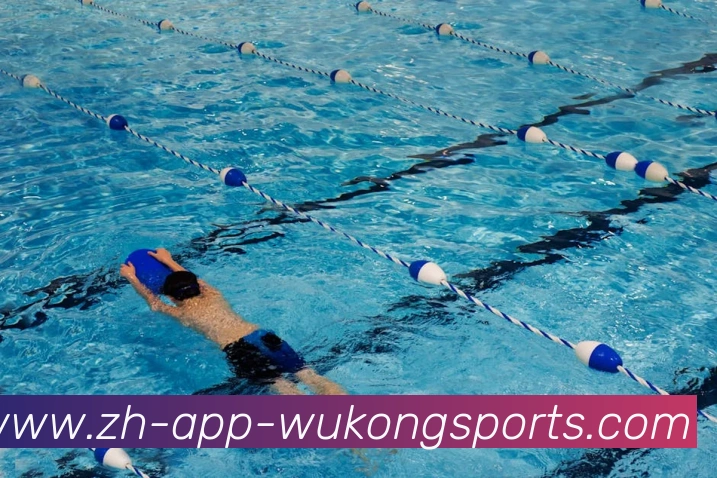 悟空体育APP 封面图